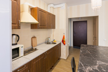 Interior of modern kitchen and entrance to the apartment
