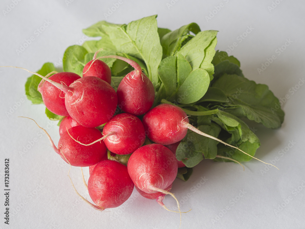 Wall mural close up bunch of red radishes on white background