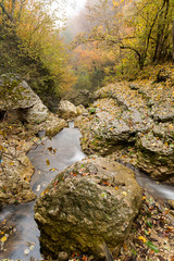 environment, freedom, travelling concept. wonderful view, between stones and rocky coasts under the crowns of yellow and green trees there is small stream of clean