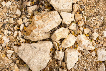 nature, backdrop, minerals concept. close up of stones that have light creamy shade, between them there are few dead leaves of trees that are growing on the mountain