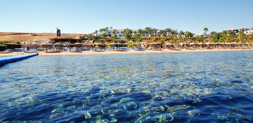Travel and vacation in Egypt. Chaise lounge and parasols on the beach against the blue sky and sea. Egypt, Sharm El Sheikh © KAL'VAN