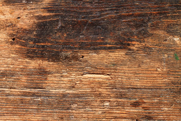 Brown wood background