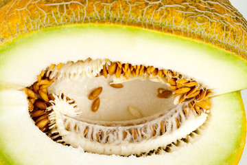 melon isolated on white Clipping Path
