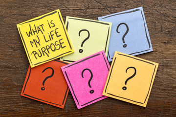What is my life purpose?