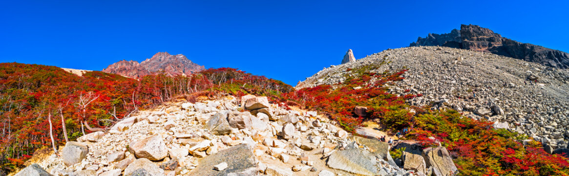 Panoramic view of Torres del Paine, National Park, Patagonia