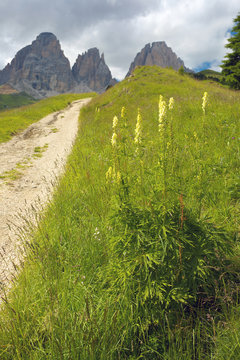 Way in Dolomites with Grohmannspitze peaks on the background, Italy