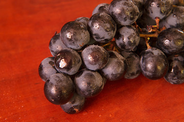 Ukrainian grapes VI