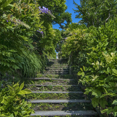 Steps in Villa del Balbianello
