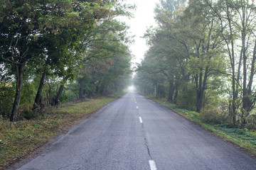 road in the countryside