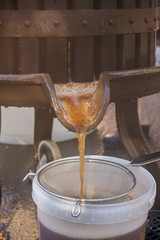 Préparation du jus de pomme avec un pressoir à fruits ancien