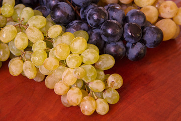 Ukrainian grapes XIII