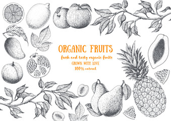 Fruits top view frame. Farmers market menu design. Healthy food poster. Vintage hand drawn sketch, vector illustration. Linear graphic.