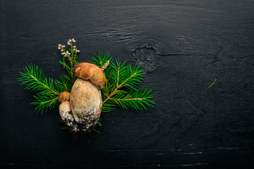 Mushroom Boletus. Fresh forest mushrooms on a black wooden background. Top view. Free space for text.
