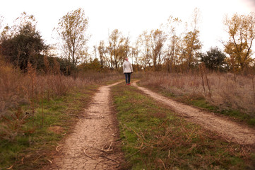 Obraz premium Dirt road in the Zavolzhye steppe