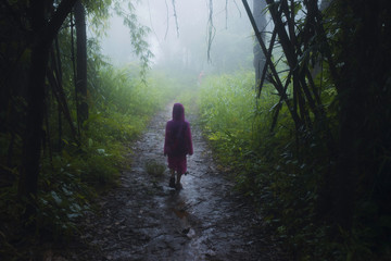 A rainy day in the forest