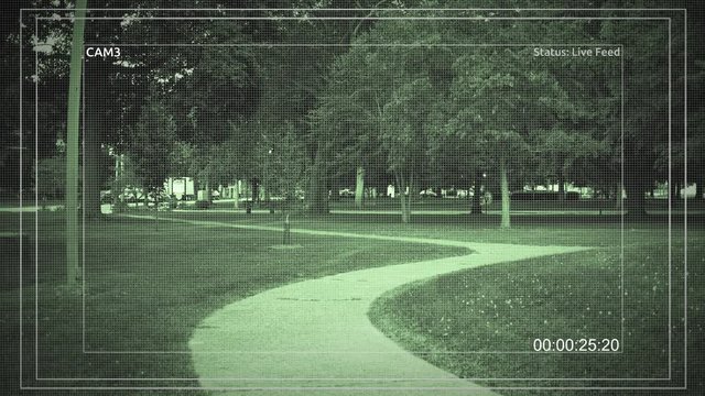 Surveillance footage of an empty local nature park as seen 