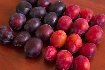Autumn. Harvest season for plums II