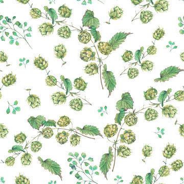 Watercolor natural seamless pattern of hops