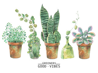 Watercolor green plants in pots