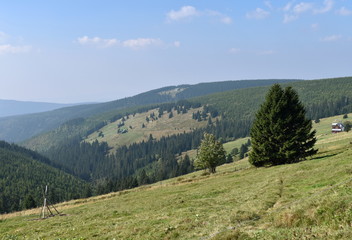 Fototapeta na wymiar Panoramic View of Mountain and Trees