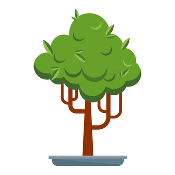 tree bonsay icon