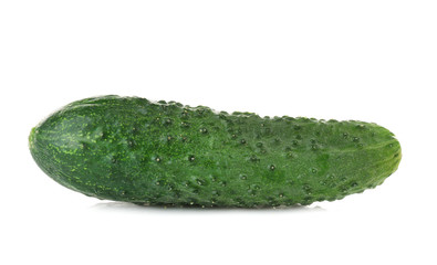 Fresh cucumber on white background