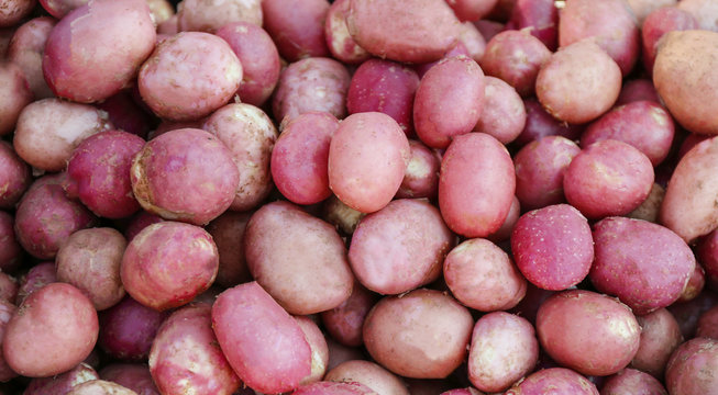 Pile of potato, closeup
