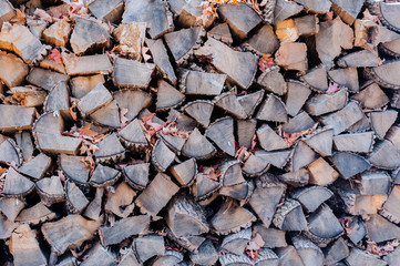 Dry stacked firewood with autumn leaves.