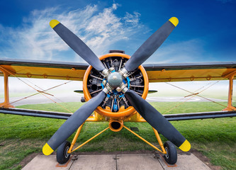 frontview of an biplane - obrazy, fototapety, plakaty