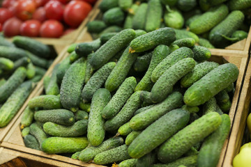 Fresh cucumbers in crate for sale at market