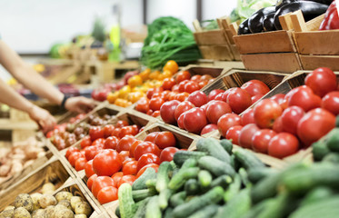 Assortment of fresh vegetables at market - obrazy, fototapety, plakaty