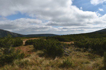 Mountain Meadow with Bushes, Clouds and Blue Sky