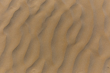 Texture of sand on the beach