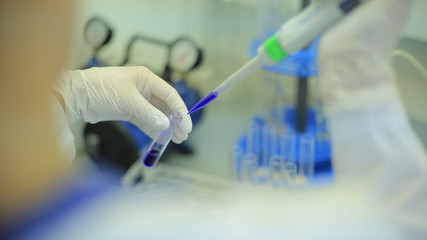 Test tubes closeup. Medical equipment. Close-up footage of a scientist using a micro pipette in a laboratory. Laboratory technician injecting liquid into a microtiter plate. Test tubes. Small depth of