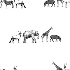 Fototapeta premium Seamless pattern of hand drawn sketch style oryx, elephant, giraffe and zebra. Vector illustration isolated on white background.