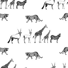 Seamless pattern of hand drawn sketch style oryx, gazelle, giraffe, zebra and leopard. Vector illustration isolated on white background.