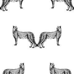 Seamless pattern of hand drawn sketch style cheetah. Vector illustration.