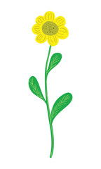 Simple yellow sunflower vector illustration on white background.