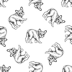 Seamless pattern of hand drawn sketch style bulldogs. Vector illustration isolated on white background.