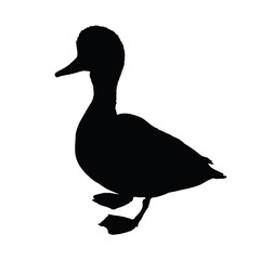 Vector standing duck silhouette on white background.