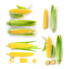 Fresh corn cobs on white background