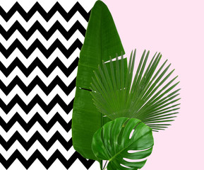 Banana leaf on white background