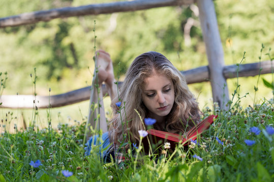 Attractive barefooted young woman with long curly hair is reading a book in a meadow