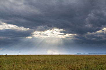 Sunbeams On The Savanna
