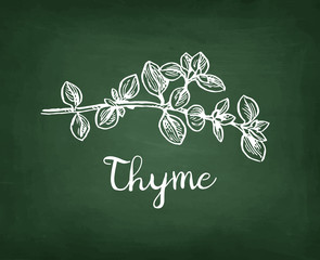 Chalk sketch of thyme