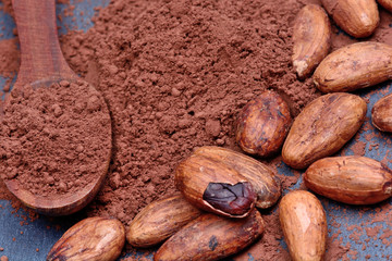 Cacao powder in a wooden spoon with beans on slate