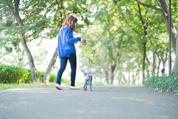 犬の散歩、女性、歩く、走る