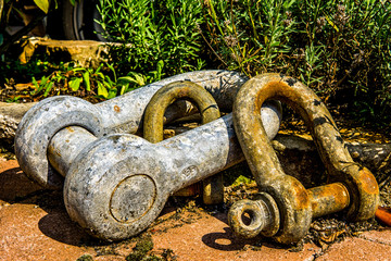 Three old Shackle in the garden