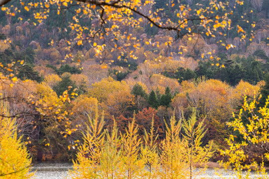 Autumn landscape in Nikko