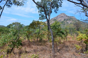 The African landscape. Mozambique